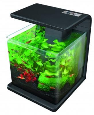 Superfish Wave Aquarium Black L From Pet Shopper