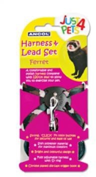 Ancol Ferret Harness Lead Set