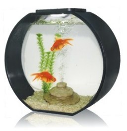 Deco O 20 Round Aquarium 20 Litre Black - from Pet Shopper