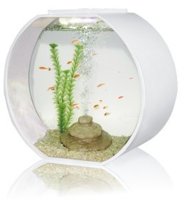 Deco O 20 Round Aquarium 20 Litre White - from Pet Shopper