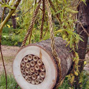 Wildlife World Pollinating Bee Log - from Pet Shopper