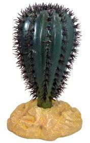  Komodo Saguaro Cactus 11cm