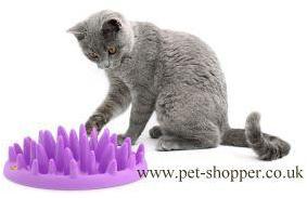  Catch Interactive Cat Feeder