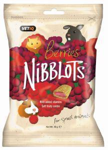 Nibblots Berry Treats For Small Animals 