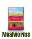 Walter Harrisons Mealworms