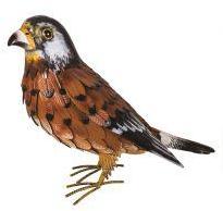 Supa Metal Kestrel Garden Ornament 40cm - from Pet Shopper