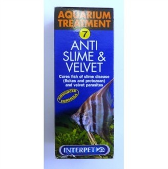 Interpet Anti Slime & Velvet Control