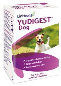 Lintbells YuDigest Dog (300 tablets)