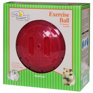 Hamster Exercise Ball 