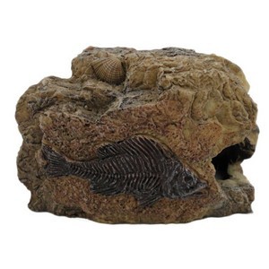 Betta Small Fossil Rock